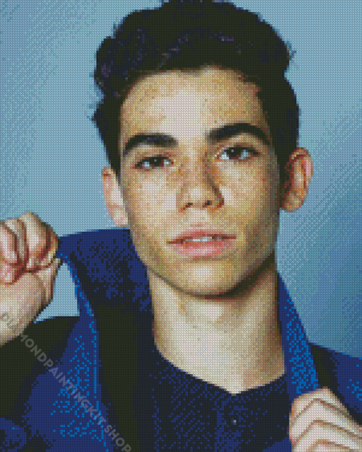 Cameron Boyce Diamond Painting