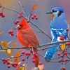 Cardinal And Blue Jay On Branch Diamond Painting