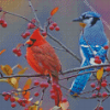 Cardinal And Blue Jay On Branch Diamond Painting