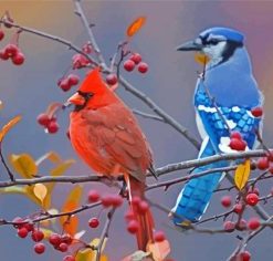 Cardinal And Blue Jay On Branch Diamond Painting