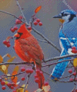 Cardinal And Blue Jay On Branch Diamond Painting