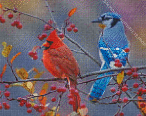 Cardinal And Blue Jay On Branch Diamond Painting