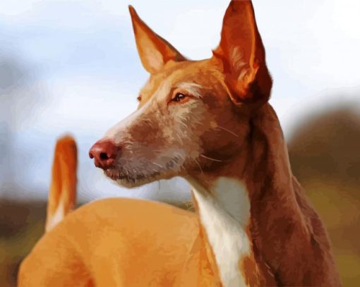 Close Up Podenco Dog Diamond Painting