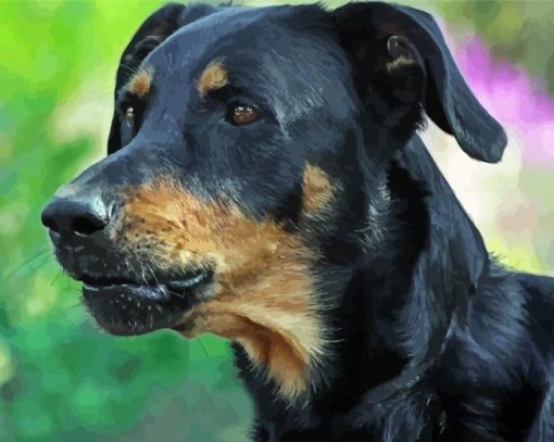 Close Up Beauceron Diamond Painting