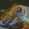 Cuttlefish Diamond Painting