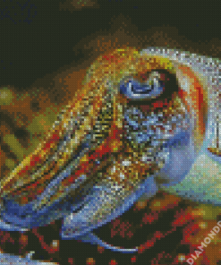 Cuttlefish Diamond Painting