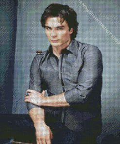 Damon Salvatore Ian Somerhalder Diamond Painting