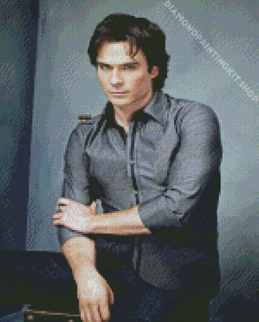 Damon Salvatore Ian Somerhalder Diamond Painting