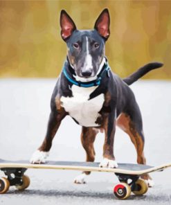 Dog Skateboard Diamond Painting