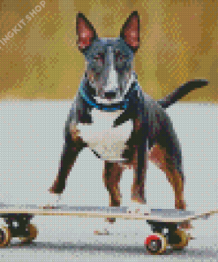 Dog Skateboard Diamond Painting