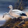 Goose Birds Diamond Painting