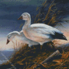 Goose Birds Diamond Painting