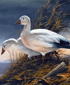 Goose Birds Diamond Painting