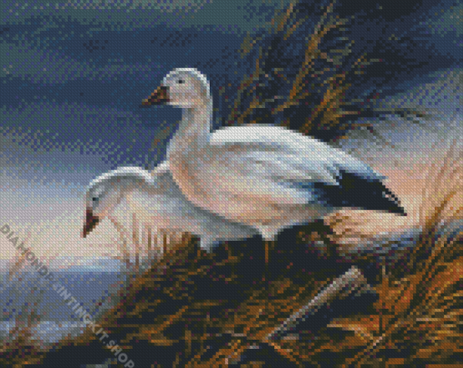 Goose Birds Diamond Painting