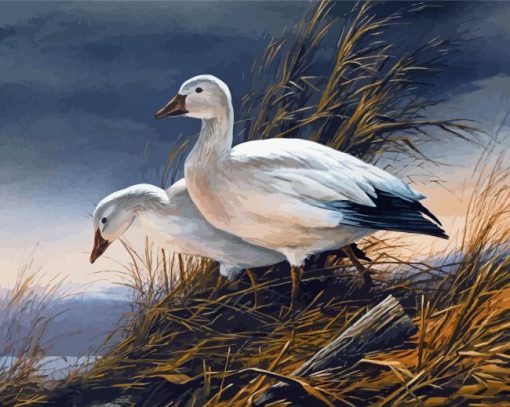 Goose Birds Diamond Painting