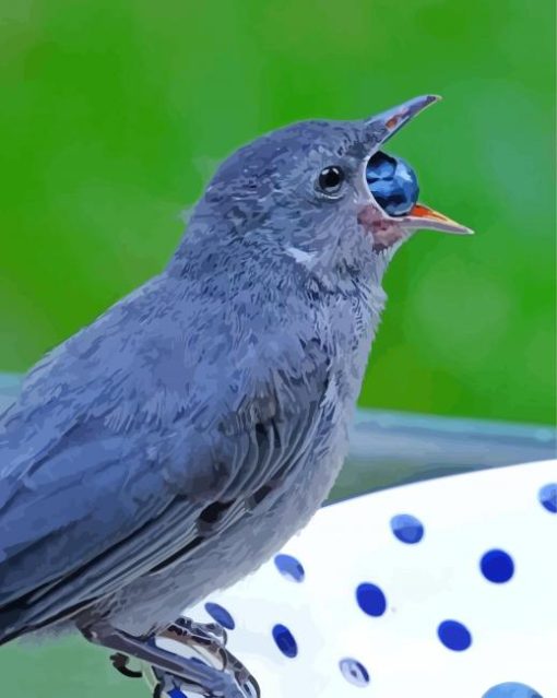 Grey Catbird Eating Diamond Painting