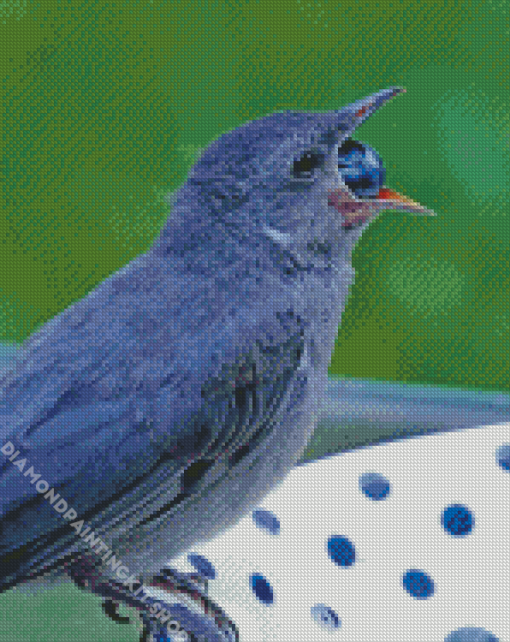 Grey Catbird Eating Diamond Painting