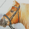 Haflinger Horse Side Face Diamond Painting