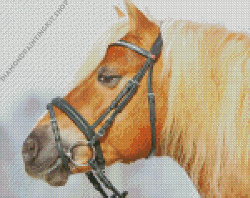 Haflinger Horse Side Face Diamond Painting