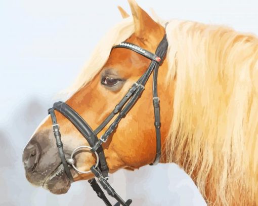 Haflinger Horse Side Face Diamond Painting