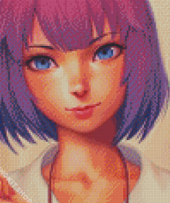 Hitagi Senjougahara Art Diamond Painting