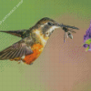 Hummingbird And Bee Diamond Painting