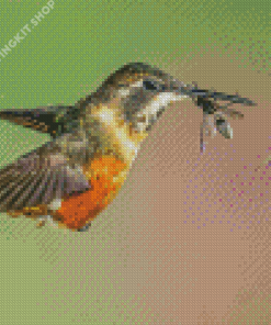 Hummingbird And Bee Diamond Painting