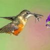 Hummingbird And Bee Diamond Painting