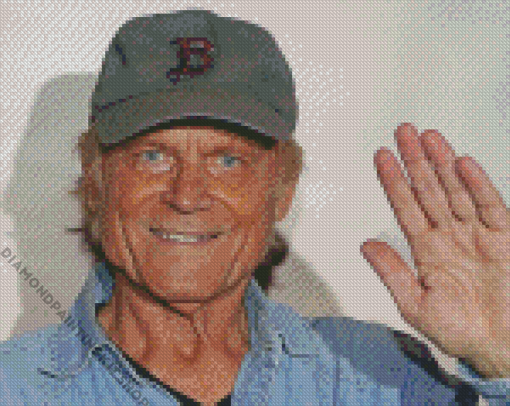 Italian Actor Terence Hill Diamond Painting