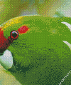 Kakariki Bird Diamond Painting