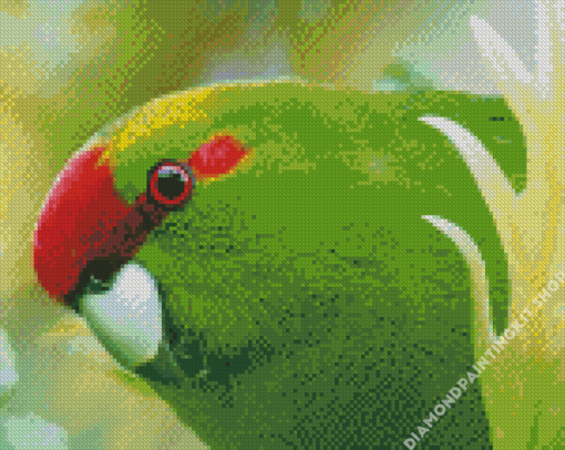 Kakariki Bird Diamond Painting