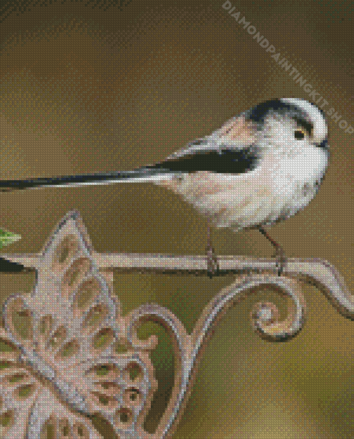 Long Tailed Tits Bird Diamond Painting