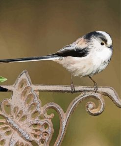 Long Tailed Tits Bird Diamond Painting