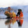 Loon Lake Diamond Painting