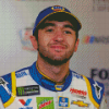 Nascar Elliott Driver Diamond Painting