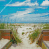 North Carolina Isle Beach Diamond Painting