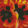 Oriental Poppies Okeeffe Diamond Painting