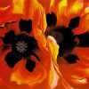 Oriental Poppies Okeeffe Diamond Painting