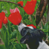 Puppy And Red Plant Diamond Painting