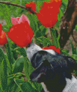 Puppy And Red Plant Diamond Painting