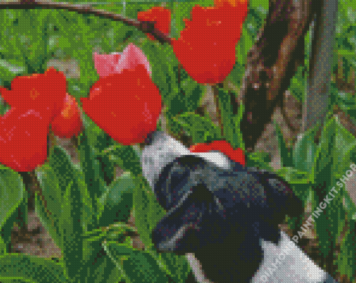 Puppy And Red Plant Diamond Painting