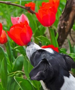 Puppy And Red Plant Diamond Painting