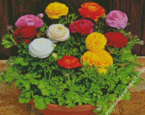 Ranunculus Flowers Diamond Painting