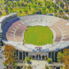 Rose Bowl Pasadena Diamond Painting