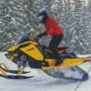 Ski Doo Diamond Painting