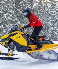 Ski Doo Diamond Painting