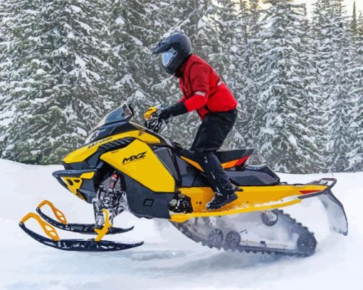 Ski Doo Diamond Painting