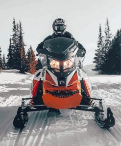 Ski Doo Driver Diamond Painting