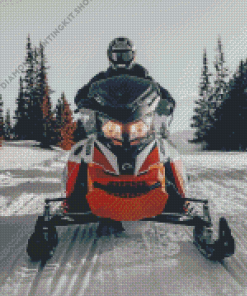 Ski Doo Driver Diamond Painting