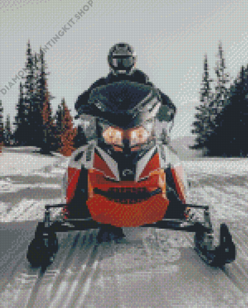 Ski Doo Driver Diamond Painting